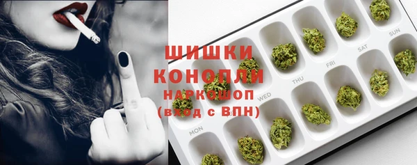 гидра Аркадак