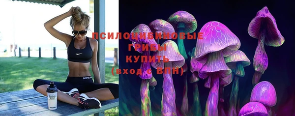 крисы Армянск