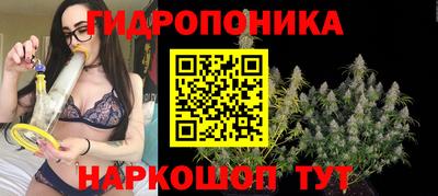 прущие крисы Бердск