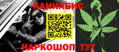 прущие крисы Бердск
