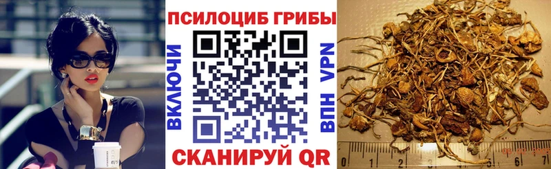 OMG рабочий сайт  Краснотурьинск  Псилоцибиновые грибы мухоморы  наркотики 