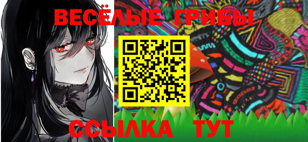Галлюциногенные грибы Psilocybe Краснотурьинск
